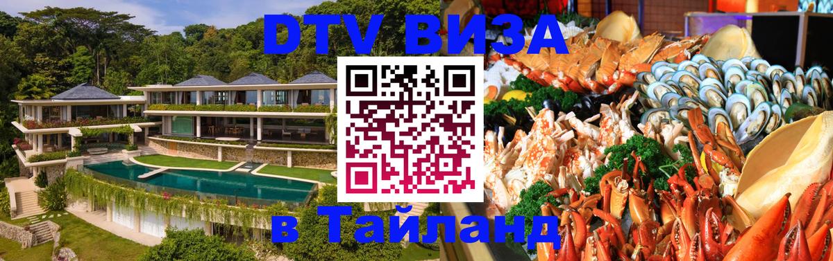 Оформление DTV визы под ключ: стоимость и тарифы, только загранпаспорт - Саранск 